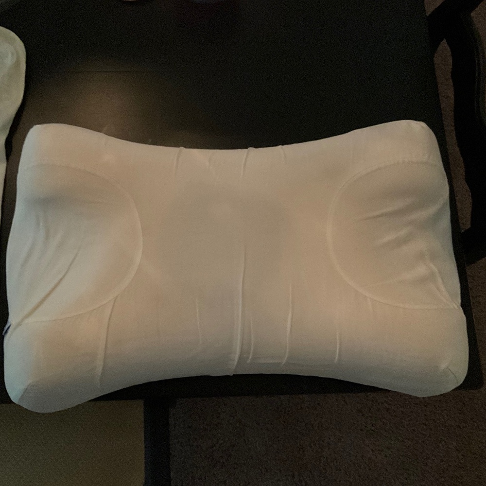 Sleep & Glow Omnia Pillow W/ 2 100% Pure  Mulberry Silk Pillowcases
